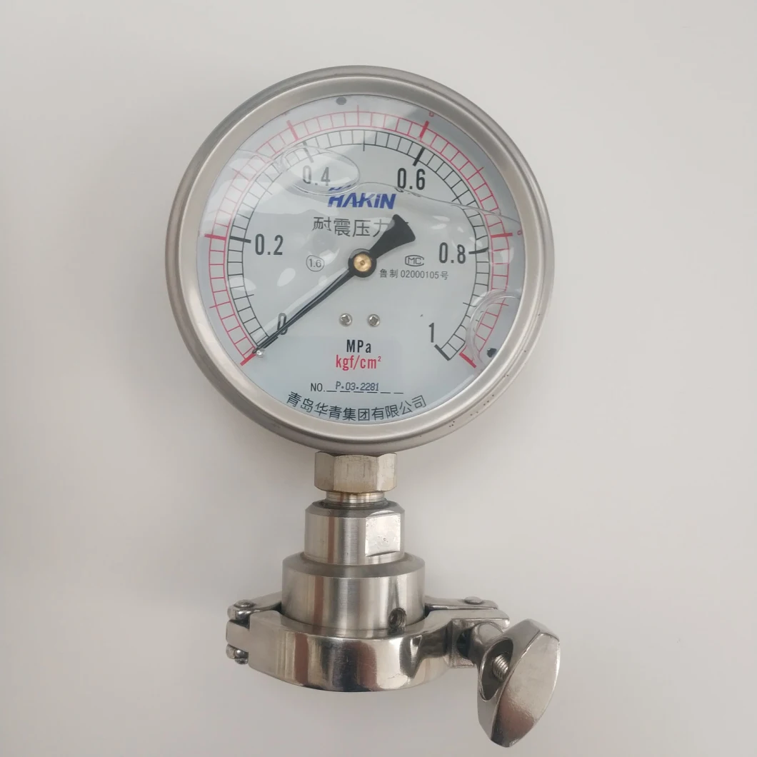 Stainless Steel Diaphragm Seal Pressure Gauge with Flange Clamp