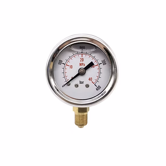 Manomètre de manomètre de logo d'OEM de mouvement en laiton rempli de liquide d'acier inoxydable